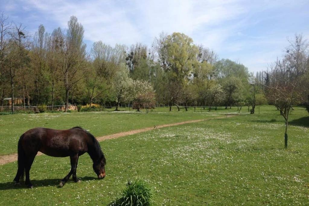 Appartement La Pierre Levée à Montigny-sur-Loing Extérieur photo